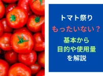 トマト祭りはもったいない？基本から目的や使用量を解説