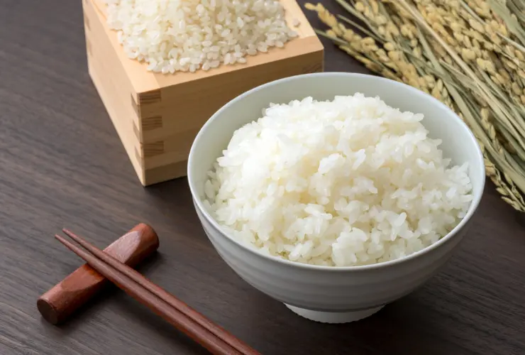炊飯器は早炊きの方が美味しい理由「お米の甘みが増す」とは