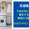 洗濯機から下水の匂いが発生する原因と対策をわかりやすく解説